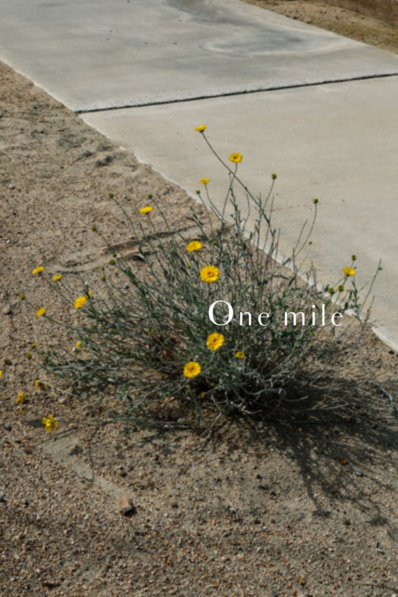 Category Sacre サク・レ 保水成分サクランが練り込まれた生地で作るボディウェアを展開する「Sacre (サク・レ)」公式HPー